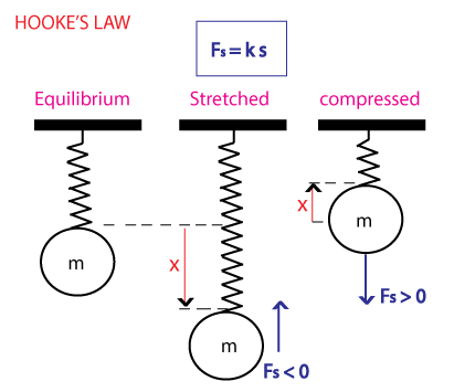 Illustration of Hooke's Law